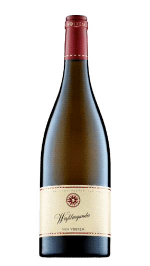2023-Van Volxem Weissburgunder Weiss