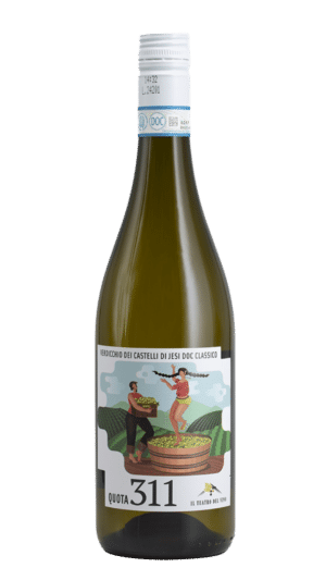 2024-Il Theatro del Vino Quota 311 Verdicchio di Castella di Jesi Bianco