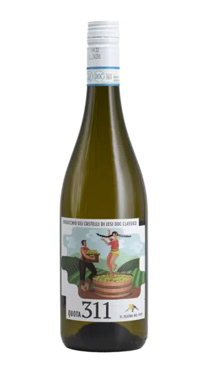 2024-Il Theatro del Vino Quota 311 Verdicchio di Castella di Jesi Bianco