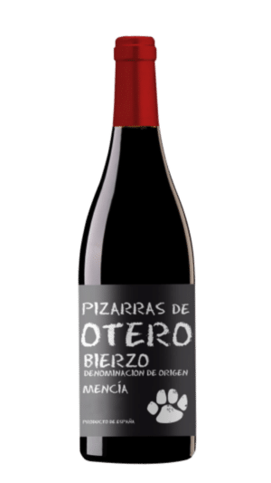 2024-Martin Codax Pizarras de Oteiro Mencia Bierzo Tinto