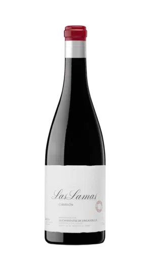 2022-Alvaro Palacios Bierzo Las Lamas Tinto MAGNUM