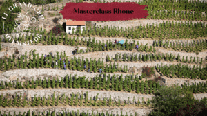 Masterclass Rhone 13-11-2026