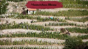 Masterclass Rhone 13-11-2026
